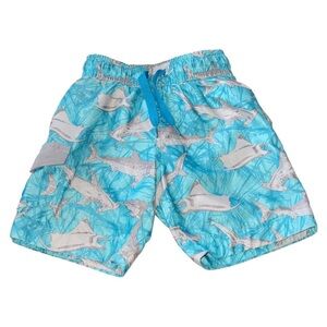 Boys shark swimsuit